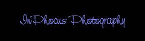 InPhocus Photography,  Ron Sistare, Wilmington NC